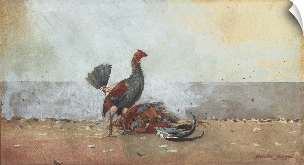 The Cock Fight, 1885, transparent and opaque watercolor, with traces of scraping, over graphite, on thick, moderately text...
