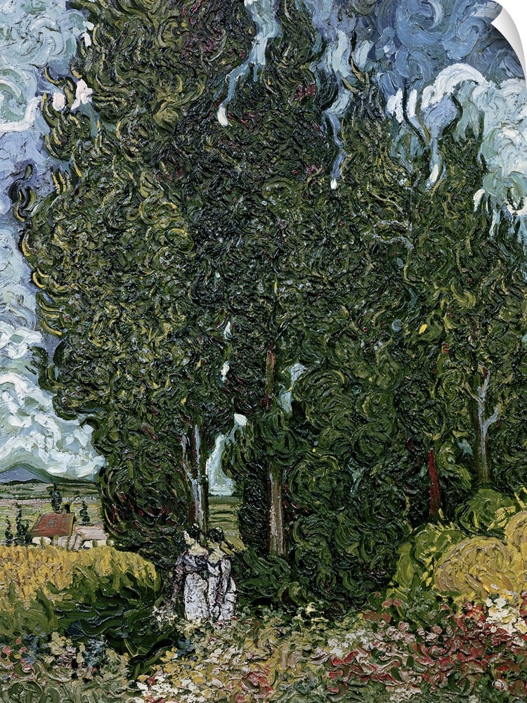 Portrait classic painting of tall cypress trees in a field beneath a blue sky, painted with swirling, circular brushstrokes.