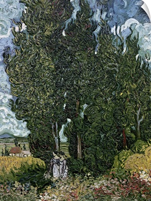 The cypresses, c.1889 90