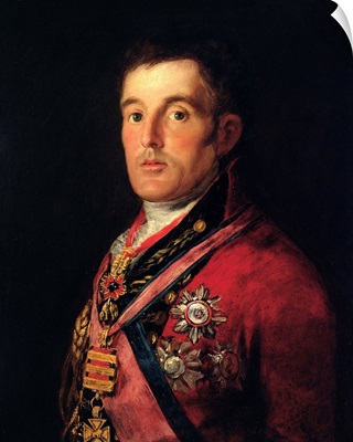 The Duke of Wellington (1769-1852) 1812-14
