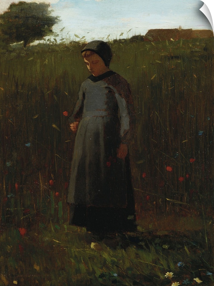 The Flowers Of The Field