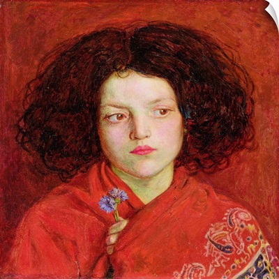 The Irish Girl, 1860