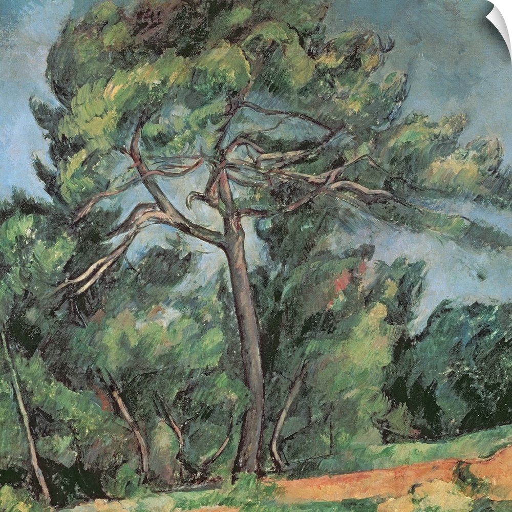 XIR190223 The Large Pine, c.1889 (oil on canvas)  by Cezanne, Paul (1839-1906); 85x92 cm; Museu de Arte, Sao Paulo, Brazil...