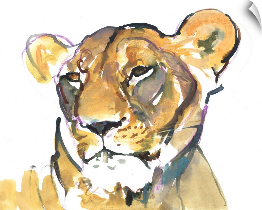 Contemporary artwork of a lioness close-up with some purple sketch-work around the outlines.