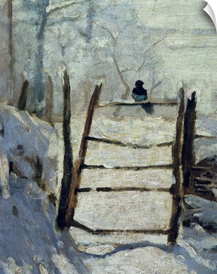 The Magpie, 1868-1869