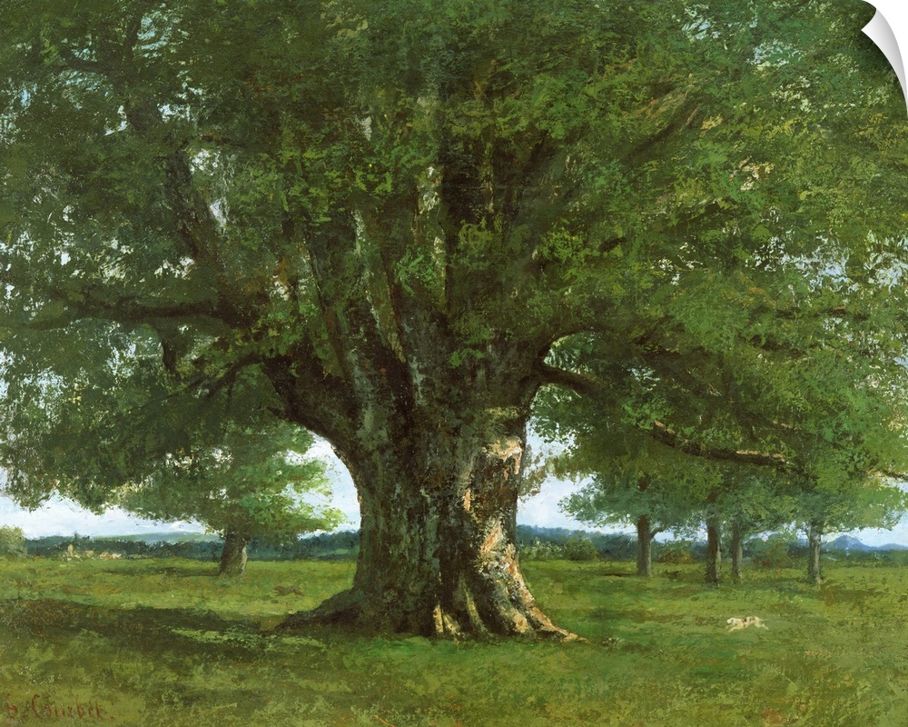 BAL6814 The Oak of Flagey, called Vercingetorix  by Courbet, Gustave (1819-77); oil on canvas; Pennsylvania Academy of the...