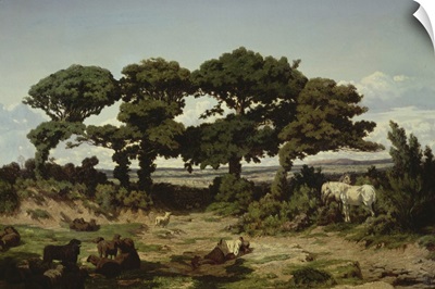 The Oaks Of Kertregonnec, C.1869-70