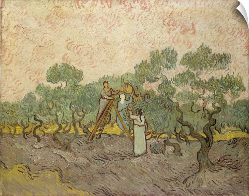 The Olive Pickers, Saint-Remy, 1889