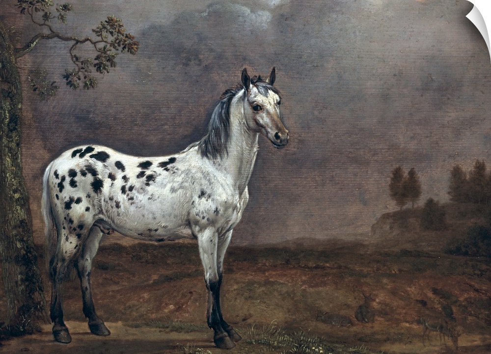 XIR144384 The Piebald Horse, 1653 (oil on canvas)  by Potter, Paulus (1625-54); 30.5x41 cm; Louvre, Paris, France; Giraudo...