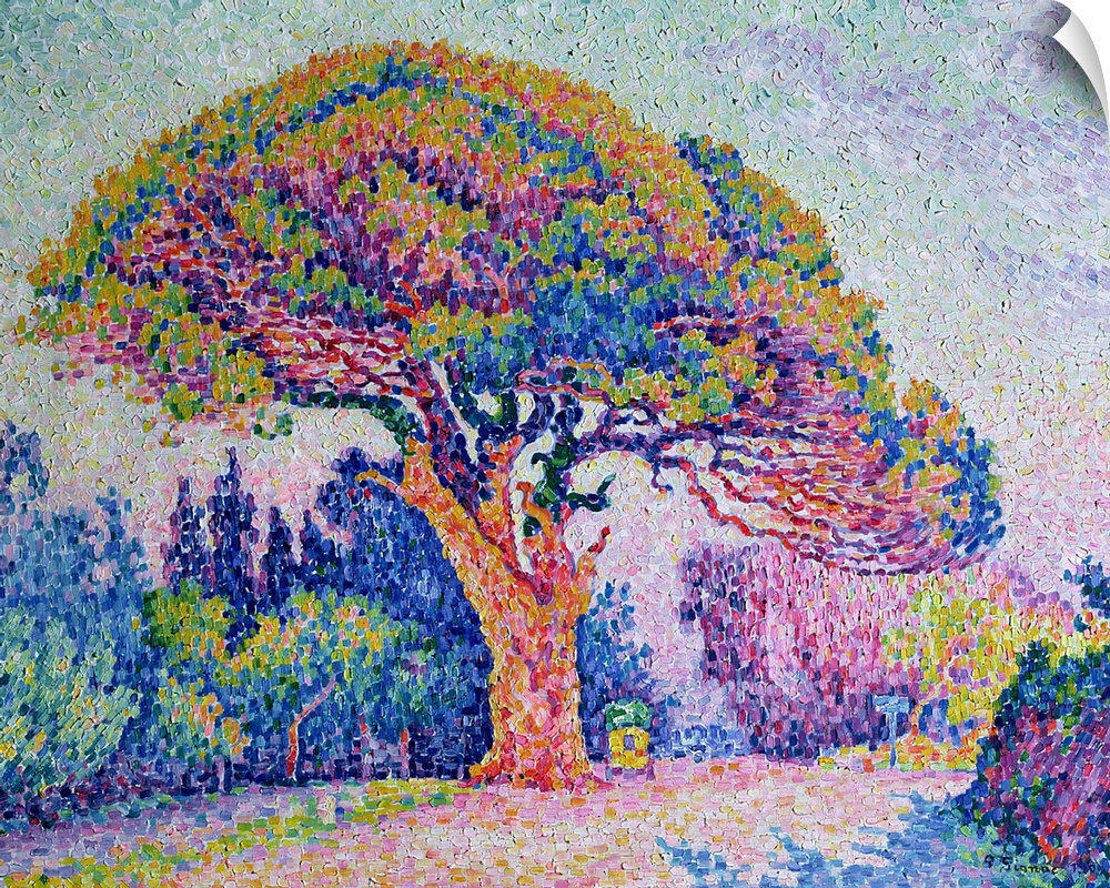 BAL35631 The Pine Tree at St. Tropez, 1909 (oil on canvas)  by Signac, Paul (1863-1935); 72x92 cm; Pushkin Museum, Moscow,...