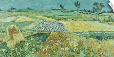 The Plain Near Auvers, 1890