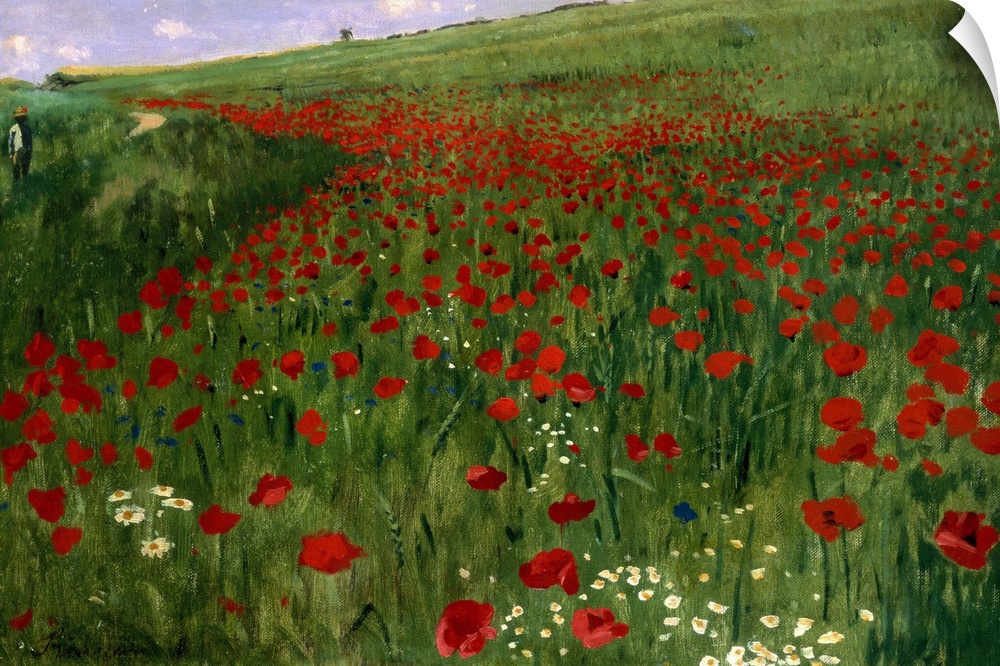Classic wall painting of a vast green field full of bright red poppy flowers.