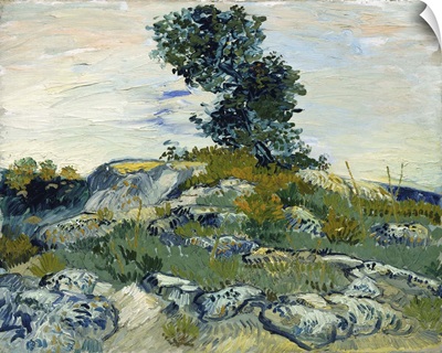 The Rocks, 1888