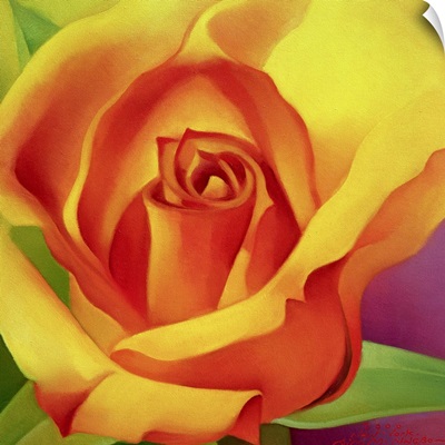 The Rose, 2000