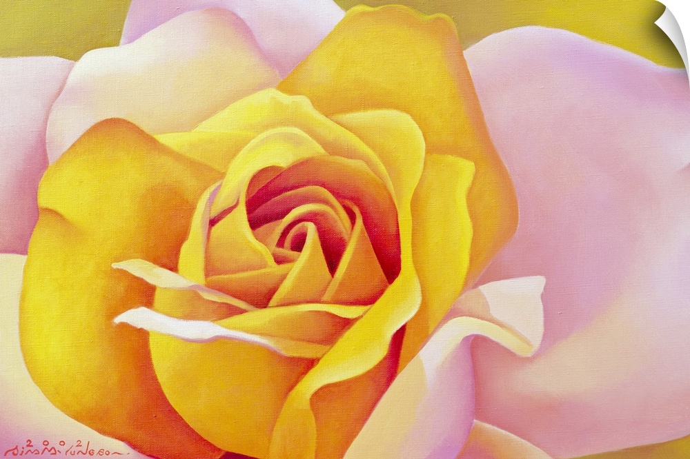 Horizontal, close up floral painting of a vibrant, opening rose in golden tones, its outer petals are light pink.
