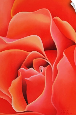 The Rose, 2003