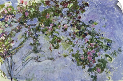 The Roses, 1925-26