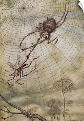 The Spider and the Fly, illustration from Aesop's Fables