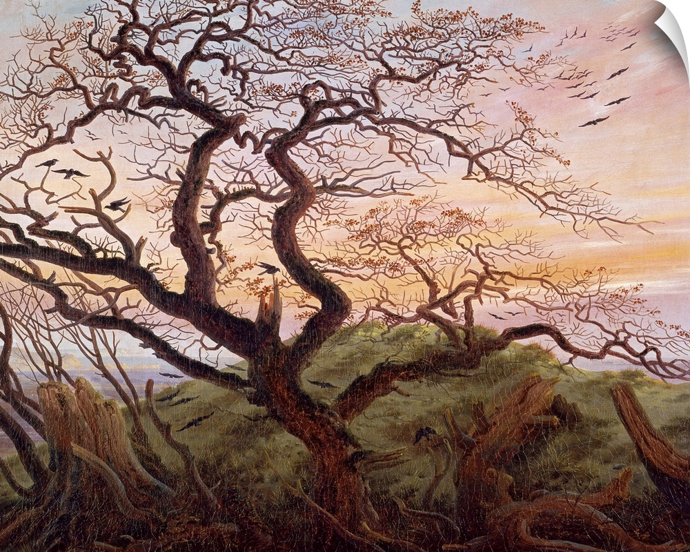 Realistic oil on canvsa painting of a tree occupied by crows near the edge of a cliff. Tree stumps surround the tall tree ...