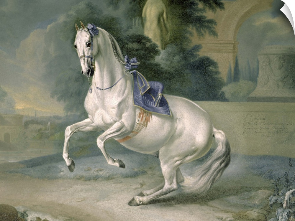 XAM65645 The White Stallion 'Leal' en levade, 1721 (oil on canvas)  by Hamilton, J.G. (1672-1737)