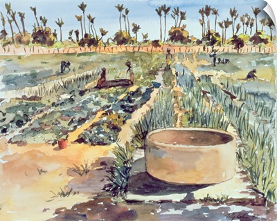 The Women's Garden, Senegal, West Africa, 1997