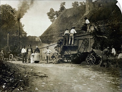 Threshing scene, late 19th century