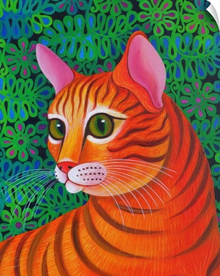 Tiger Cat, 2012