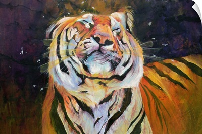 Tiger (Shaking Head) 1996