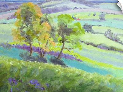 Towards Winchelsea, Sussex, with Bluebells in Spring