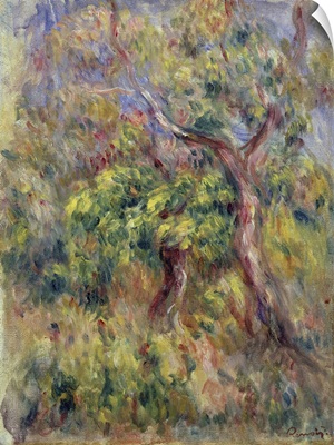 Trees, 1915-16