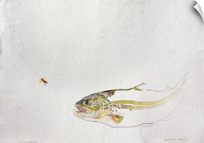 Trout Chasing a Fisherman's Fly, 1991