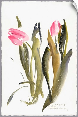 Tulips, 2003