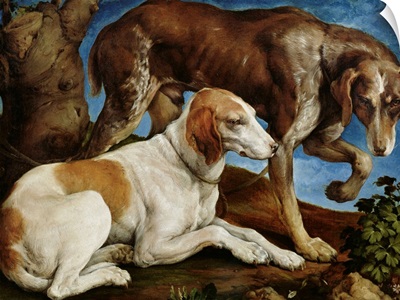 Two Hunting Dogs Tied to a Tree Stump, c.1548-50