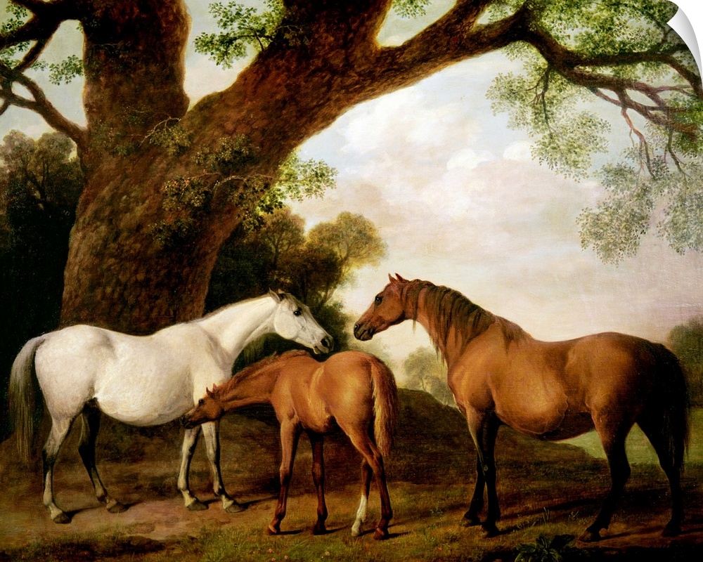 Giant classic art focuses on three horses standing beneath a very large tree on the edge of a forest.  Beyond the horses, ...