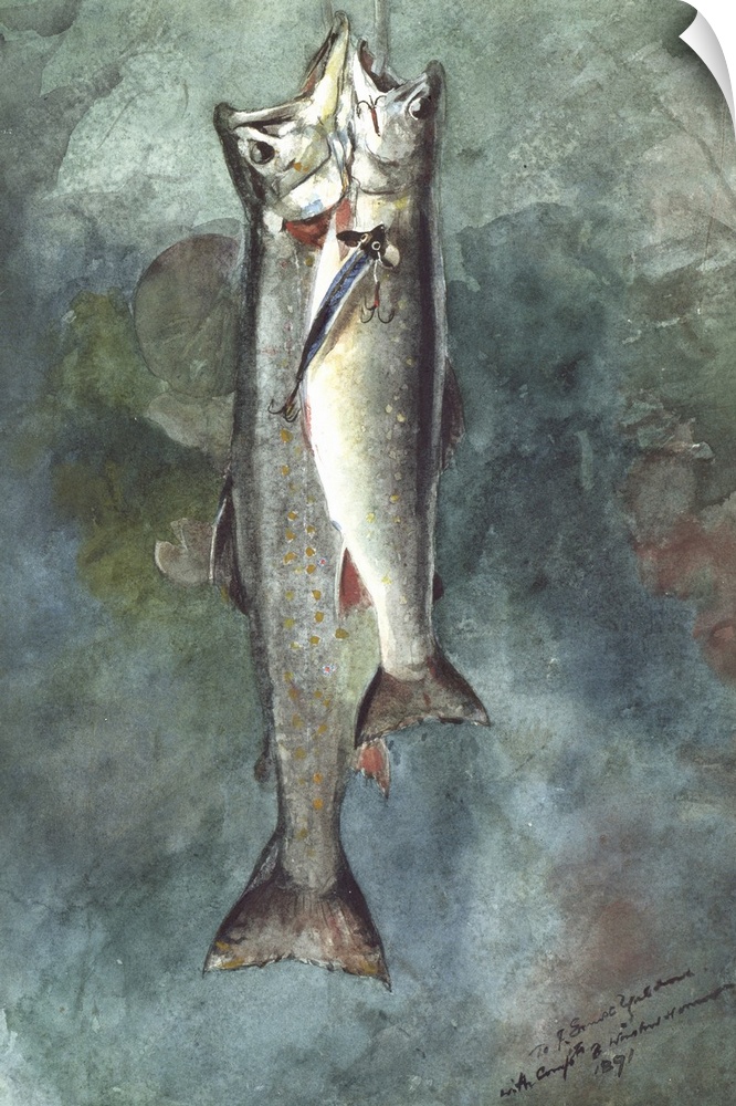 Two Trout, 1891, watercolor on paper.  By Winslow Homer (1836-1910).