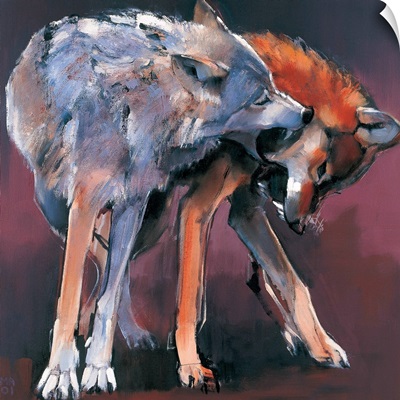Two Wolves, 2001