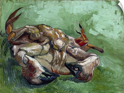 Un Crabe Sur Son Dos (A Crab Lying On His Back), 1889