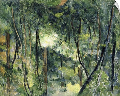 Undergrowth, 1885