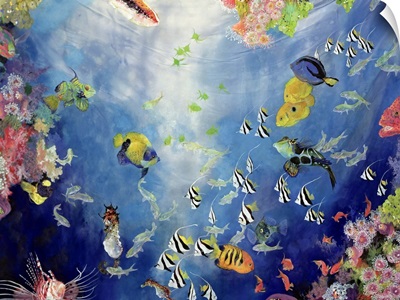 Underwater World II, 1998