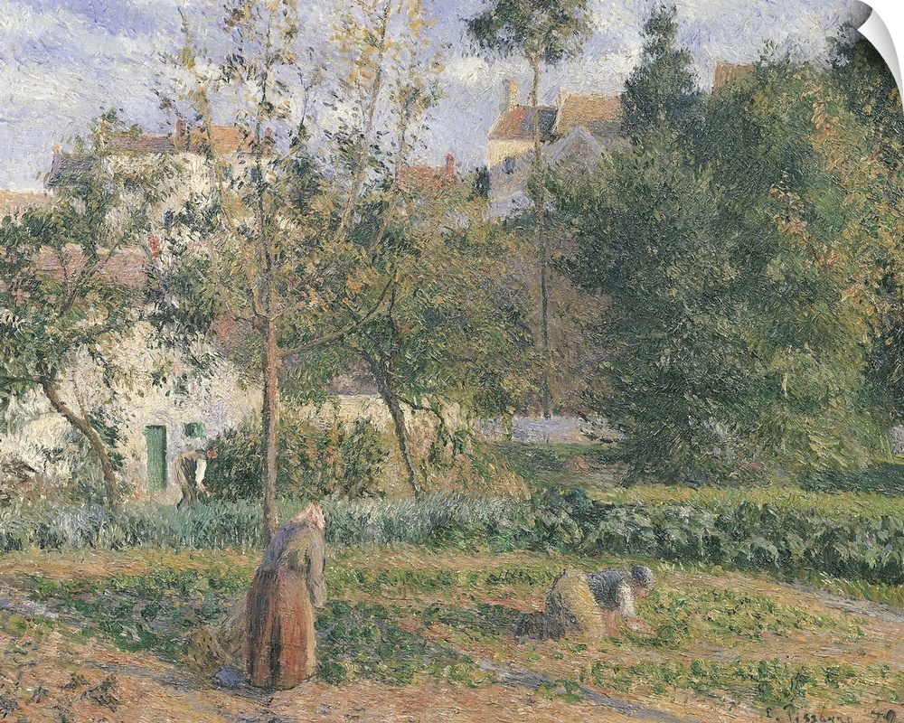 XIR33791 Vegetable Garden at the Hermitage, Pontoise, 1879 (oil on canvas)  by Pissarro, Camille (1831-1903); 55x65.5 cm; ...