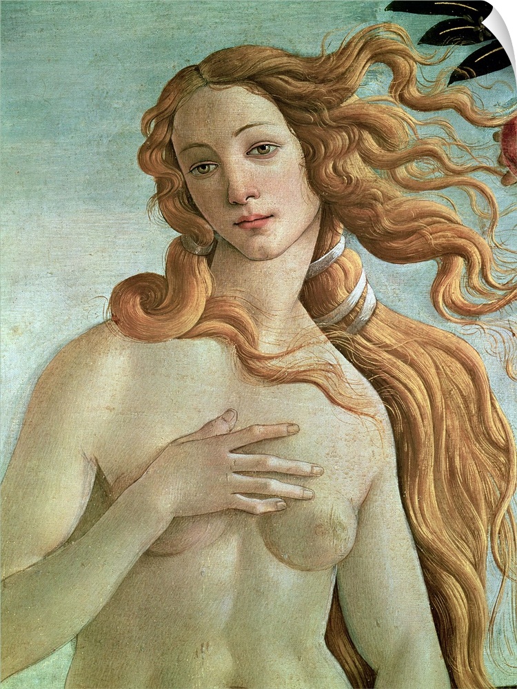Venus, detail from The Birth of Venus, c.1485