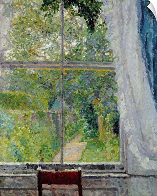 View from a Window