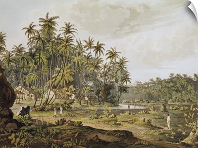 View near Point du Galle, Ceylon, engraved by Daniel Havell (1785-1826)