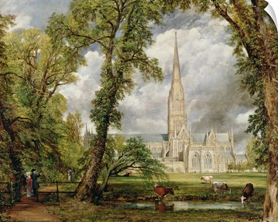 View of Salisbury Cathedral from the Bishop's Grounds,