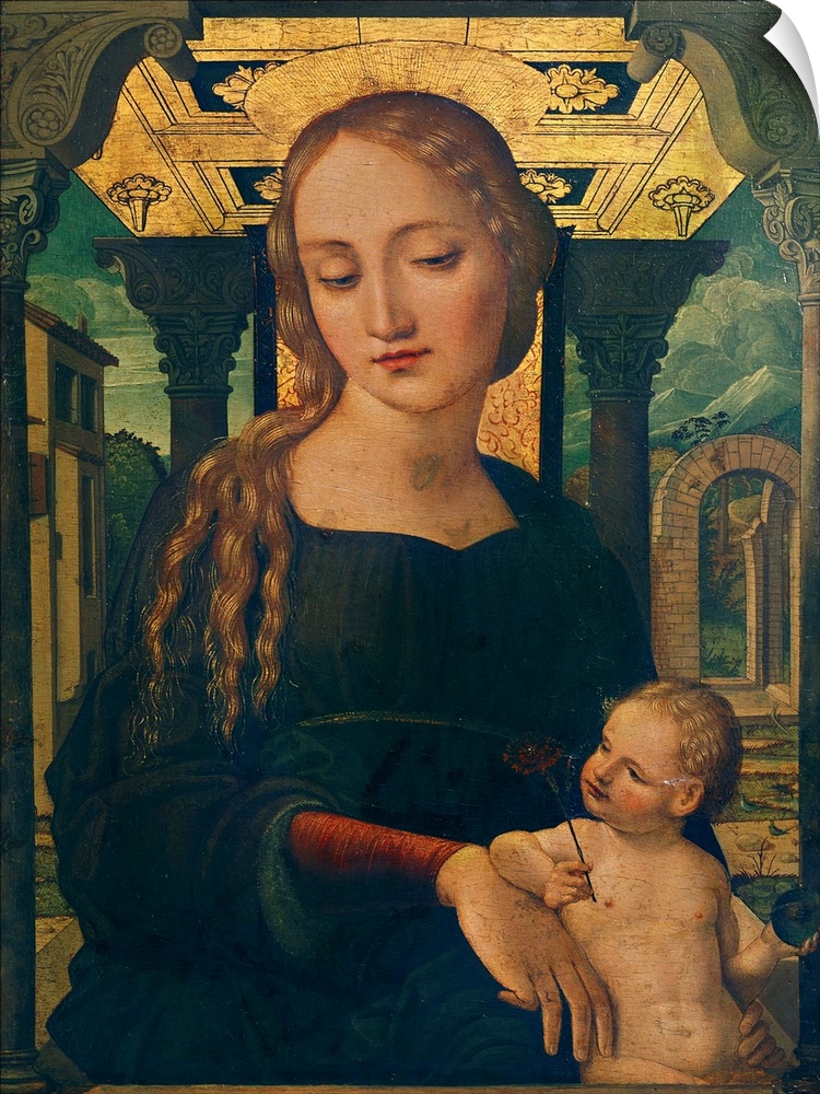 XIR178925 Virgin and Child (oil on canvas) by Spanish School, (16th century)