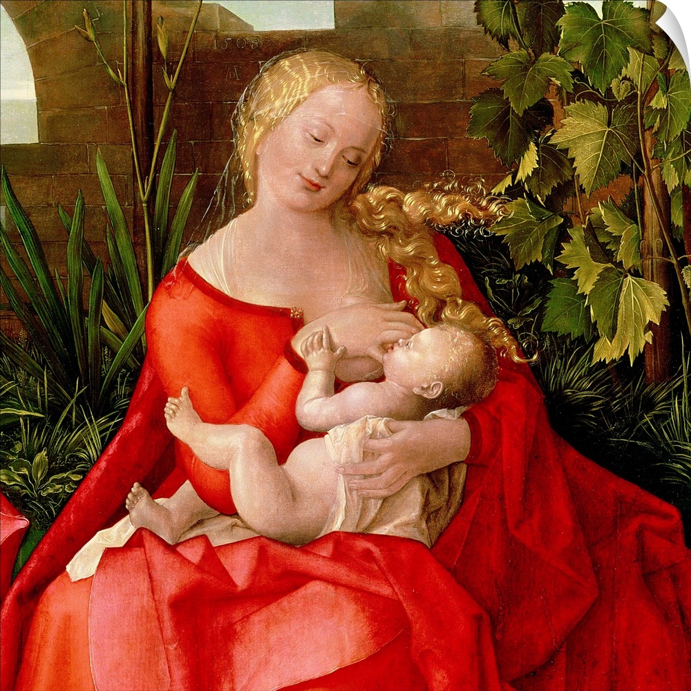Virgin and Child 'Madonna with the Iris', 1508