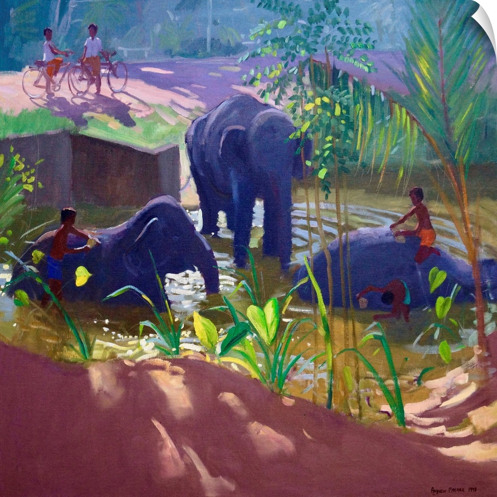 Wahing Elephants, Sri Lanka, 1995, (oil on canvas) by Macara, Andrew
