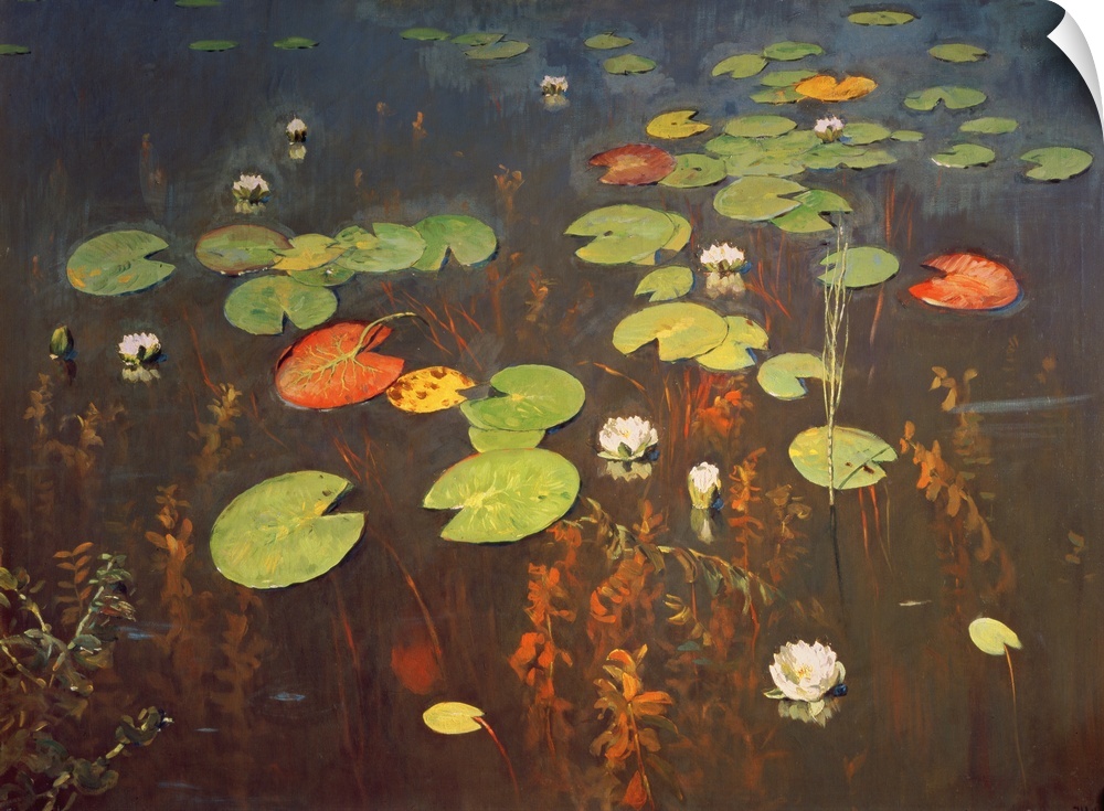BAL234902 Water Lilies 1895 (oil on canvas)  by Levitan, Isaak Ilyich (1860-1900); 92x128 cm; Astrakhan State Gallery B.M....