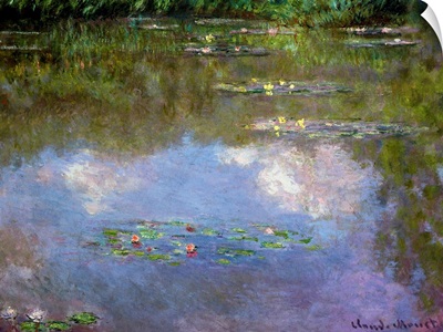 Water Lilies, The Cloud
