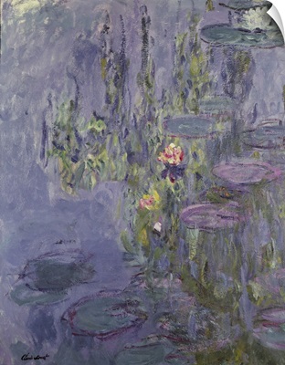 Waterlilies, 1907